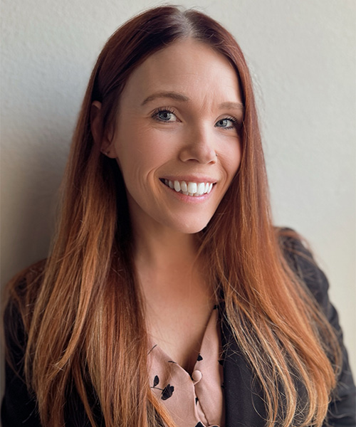 Image of 训练技术员计划 Director